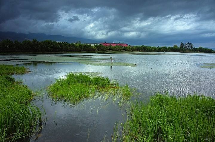 云南鶴慶東草海國(guó)家濕地公園