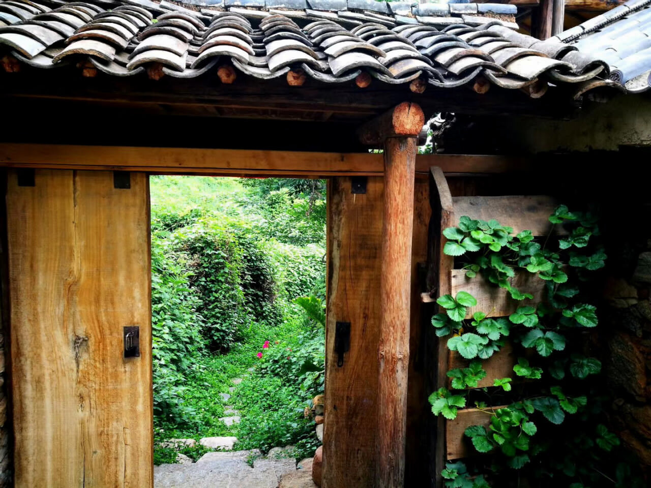 大理茶馬古道團建鳳陽邑古村落