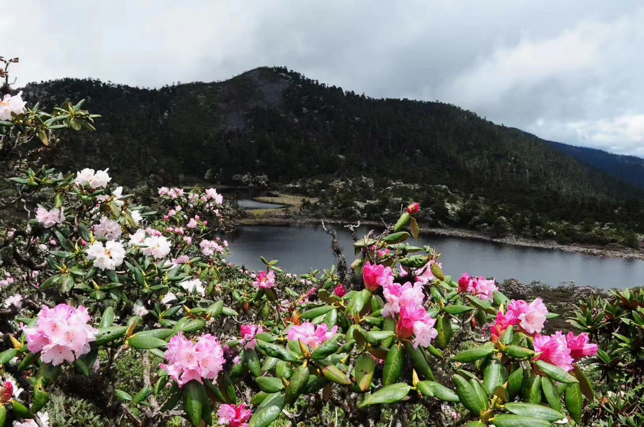 大理蒼山洗馬潭景區(qū)戶外徒步拓展旅游全攻略