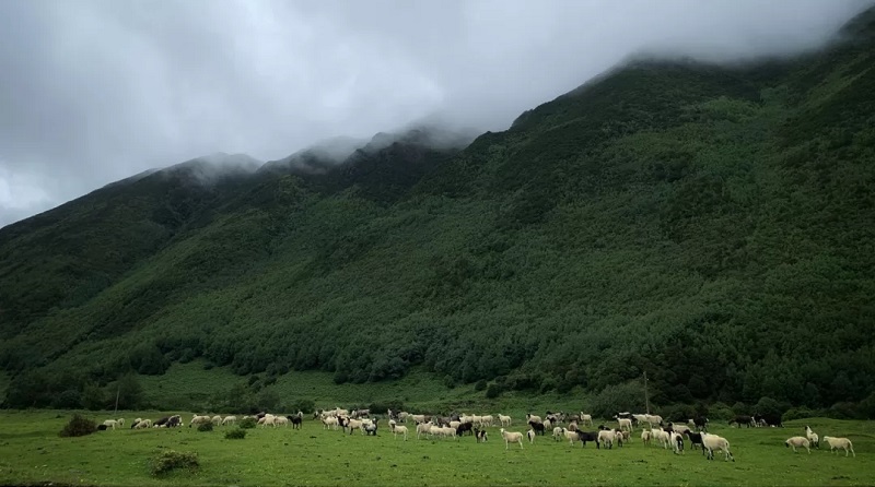 如何選擇適合自己的研學(xué)旅行及選擇研學(xué)機(jī)構(gòu)的標(biāo)準(zhǔn)是什么？