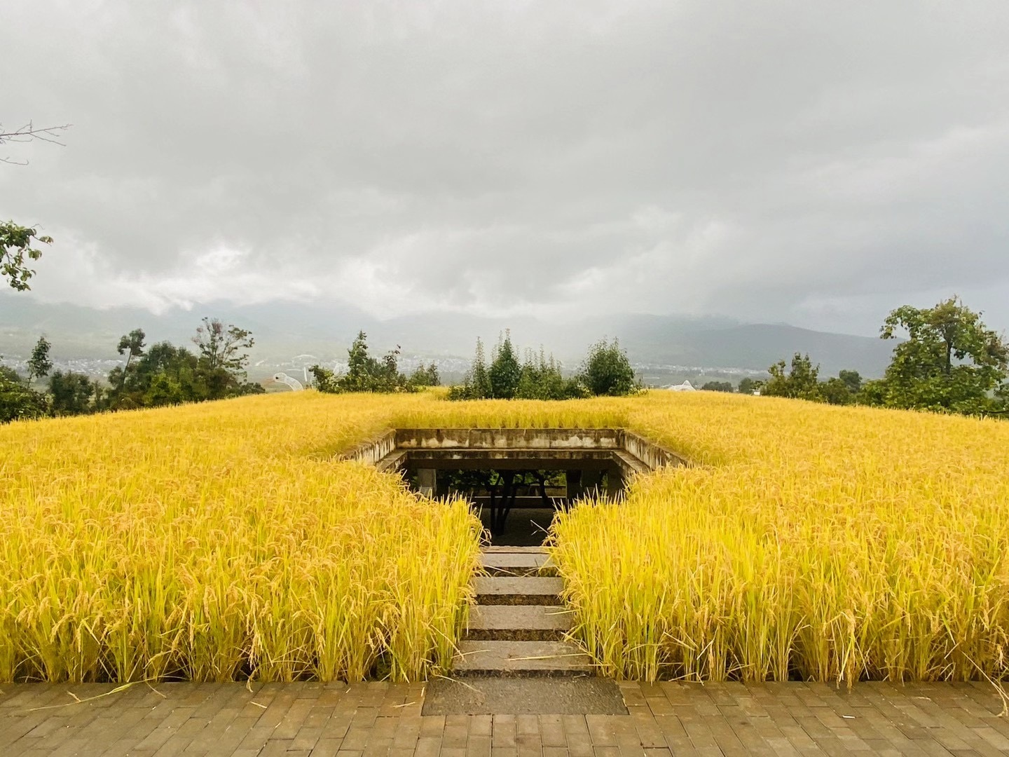 大理企業(yè)試駕會獎旅游戶外拓展訓(xùn)練徒步團(tuán)建基地重點推薦之大理洱源鳳羽稻田劇場基地