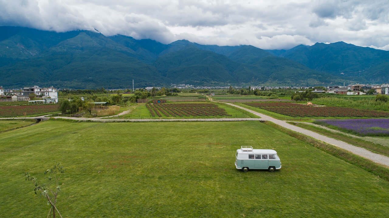 大理花伴一生玫瑰莊園鮮花餅戶外團(tuán)建