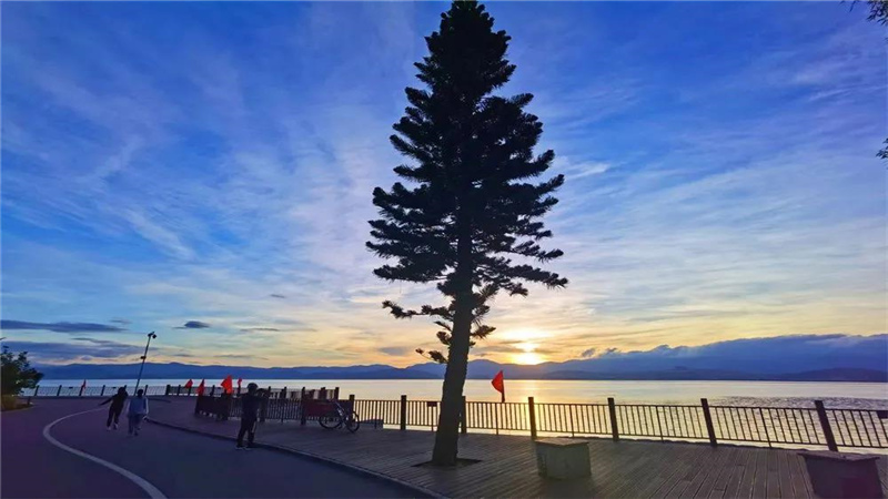 大理濃烈的夏日味道，都藏在洱海生態(tài)廊道