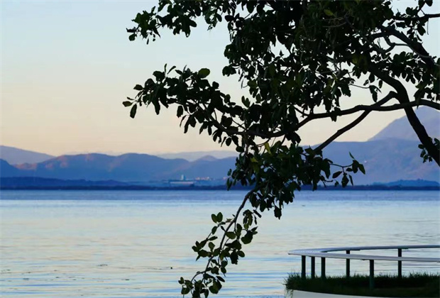 大理策劃公司:海舌，洱海邊的“寶藏公園”